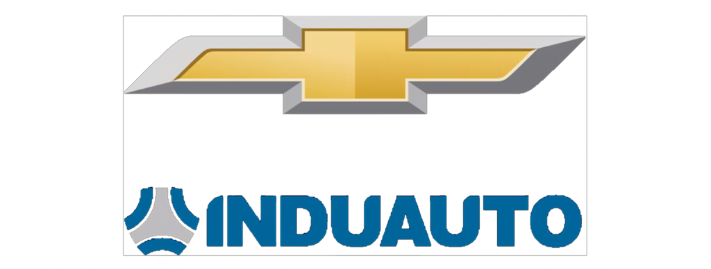 etiqueta induauto scaled.png
