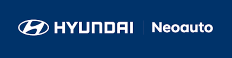 etiqueta hyundai.png